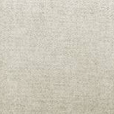 Amon 18